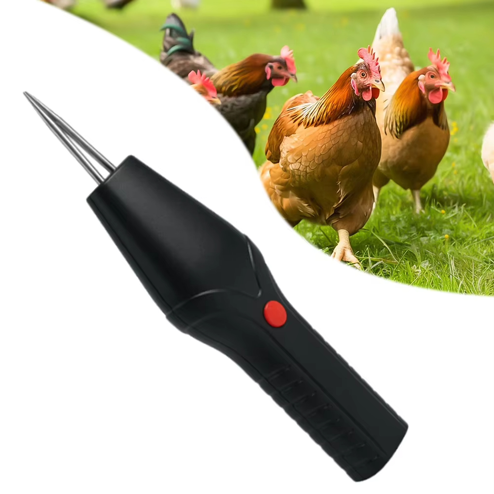 Elektrische USB oplaadbare sne - Kitchen Gadgets Electric recensie en prijs